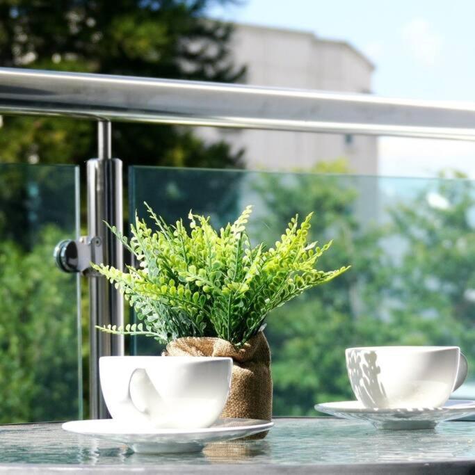 Suites Room Soha II 산티아고 데 로스 카바예로스 외부 사진
